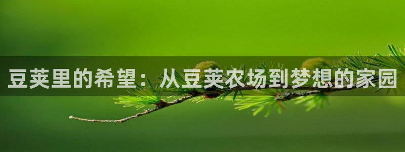 天辰娱乐怎么样