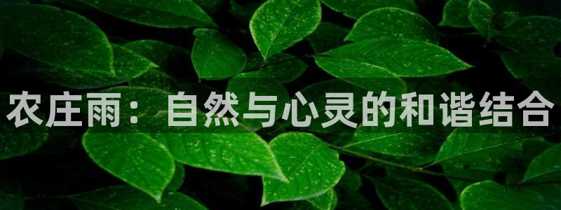 天辰娱乐网址娱乐游戏