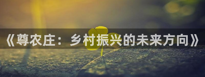 天辰娱乐平台地址在哪里