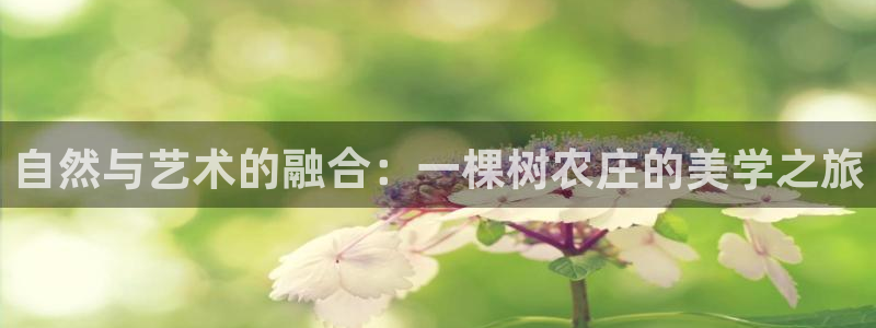 天辰娱乐官网平台入口