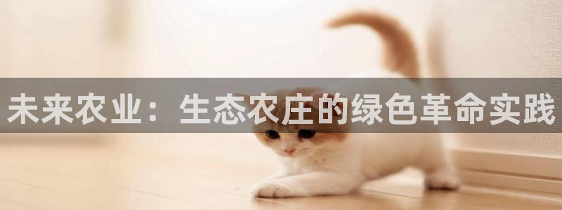 天辰娱乐天辰宝