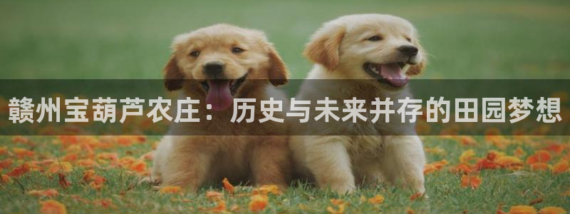 徐州天辰娱乐