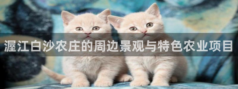 娱乐ktv天辰