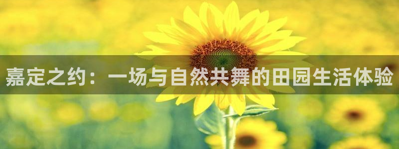 天辰娱乐注册