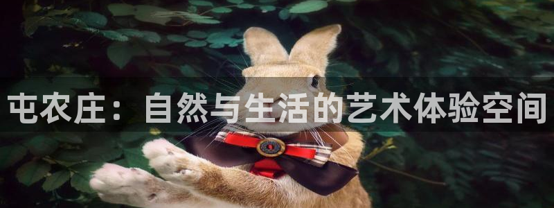 天辰娱乐_675138