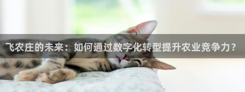 天辰娱乐885544