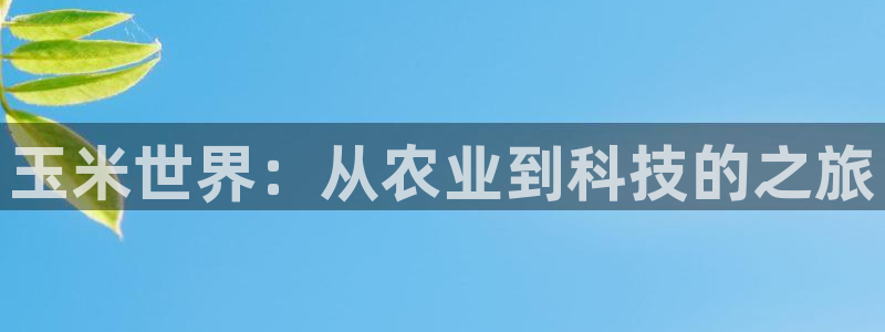 天辰娱乐解封