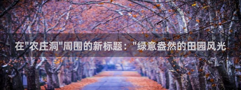 天辰娱乐-18113
