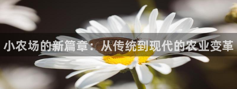 天辰娱乐台湾