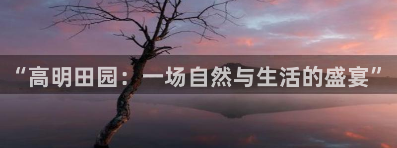 天辰娱乐台湾