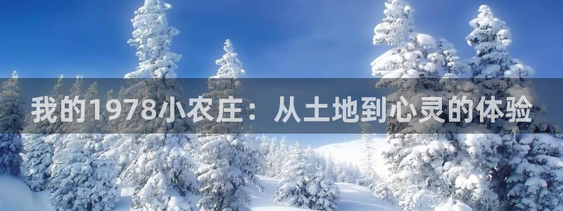 天辰娱乐主管
