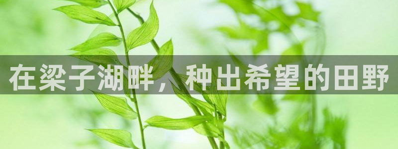 天辰娱乐平台地址在哪里