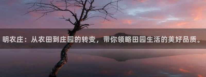 天辰娱乐说