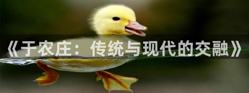 天辰娱乐39974神