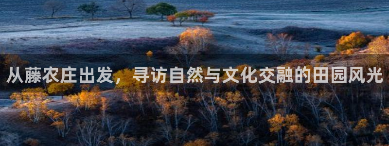 天辰娱乐网