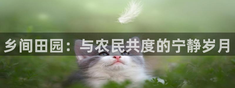 腾讯天辰娱乐