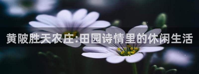 天辰娱乐输了