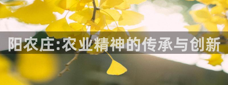天辰娱乐 天辰平台